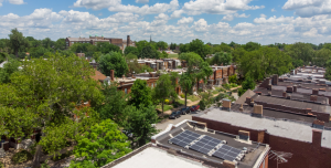 A street lined with trees and brick rowhomes, with solar arrays on the roofs of the houses.