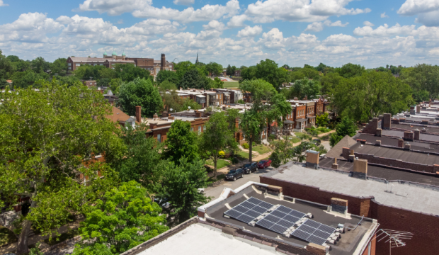 A street lined with trees and brick rowhomes, with solar arrays on the roofs of the houses.