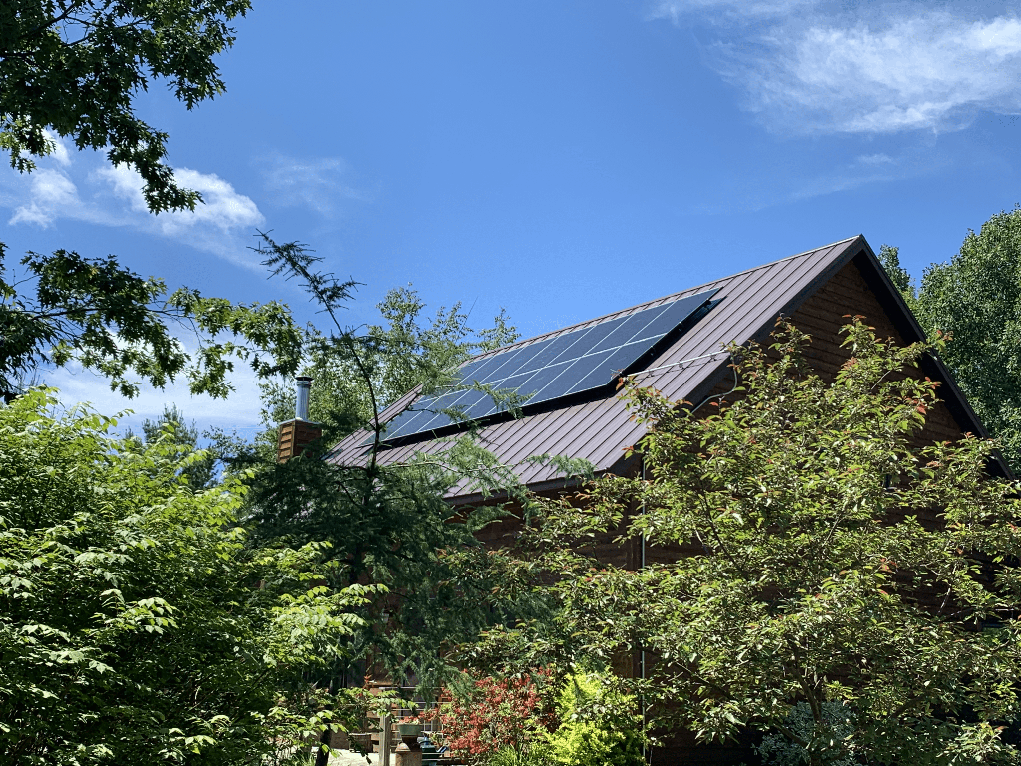 A house with a solar array on the roof pokes above dense foilage on a clear day