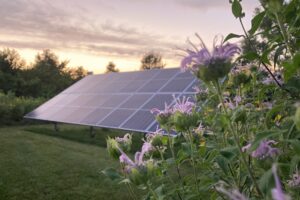 A Ground mount solar panel array is under a sky at dusk. There are purple flowers in the foreground